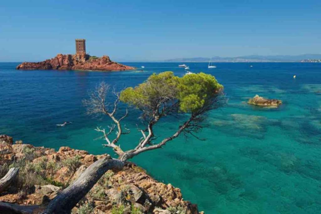 Mobilhome A Frejus A 15 Minute De La Mer Sur Terrain Independant Dış mekan fotoğraf
